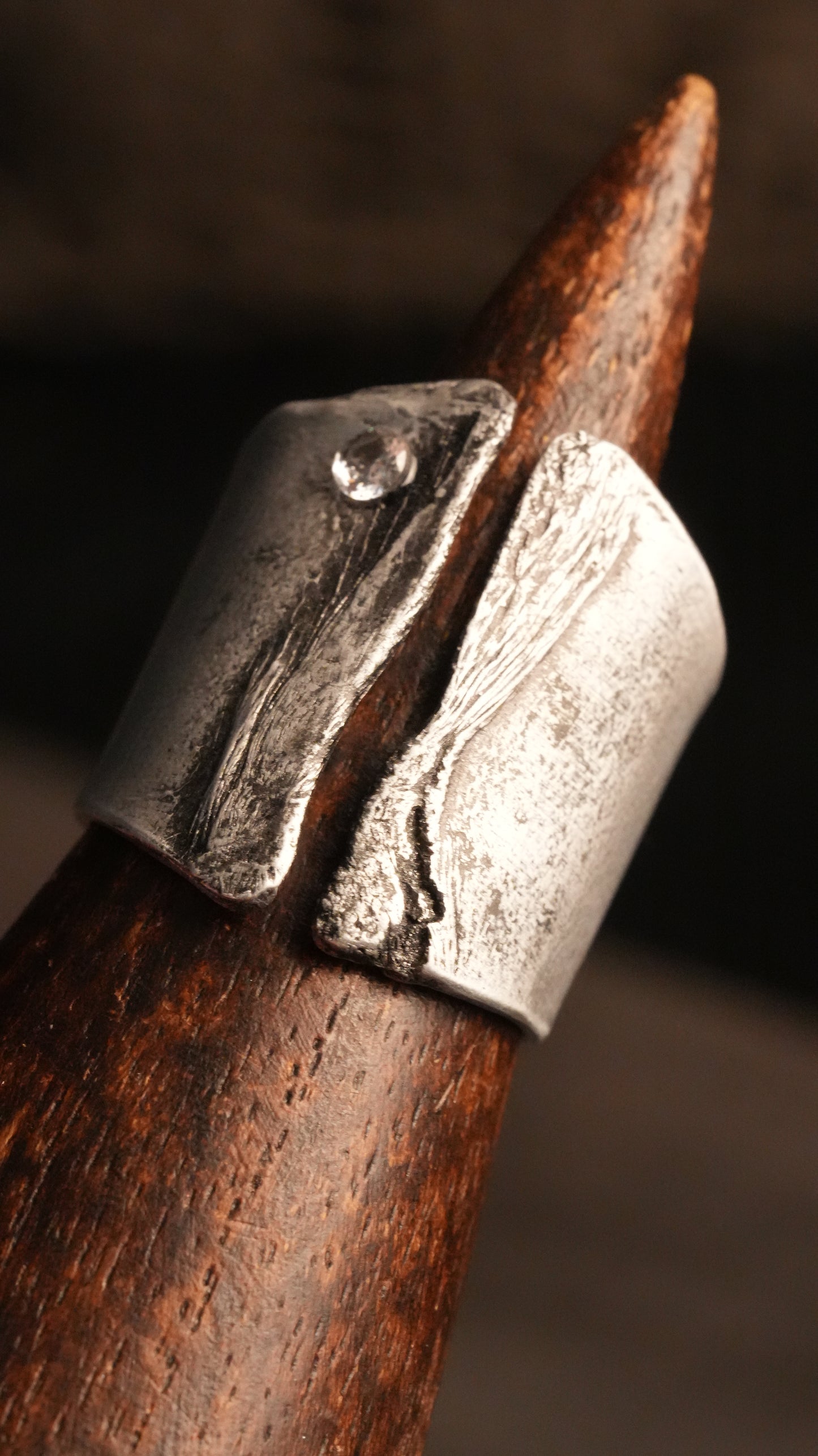 Anello Erosion